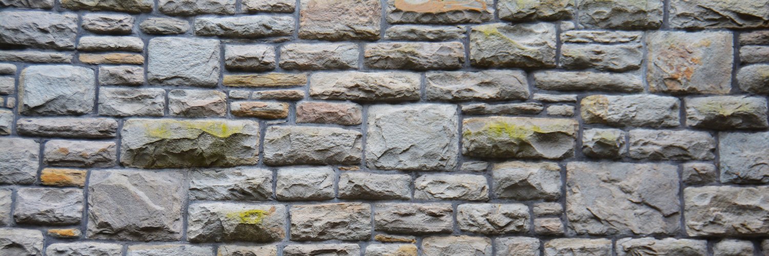 FlyingKaida 🐲 banner