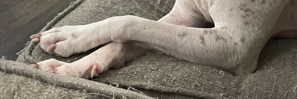 RobCRod1 Profile Banner