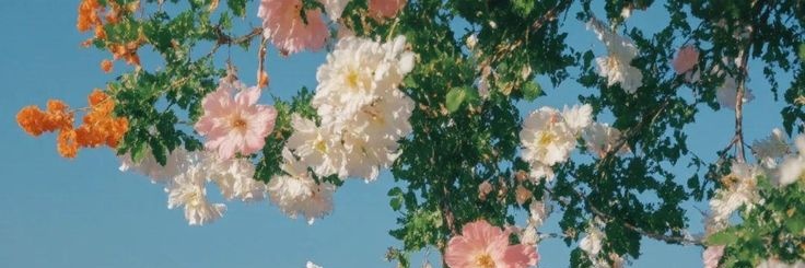 dj_pangya's profile banner image