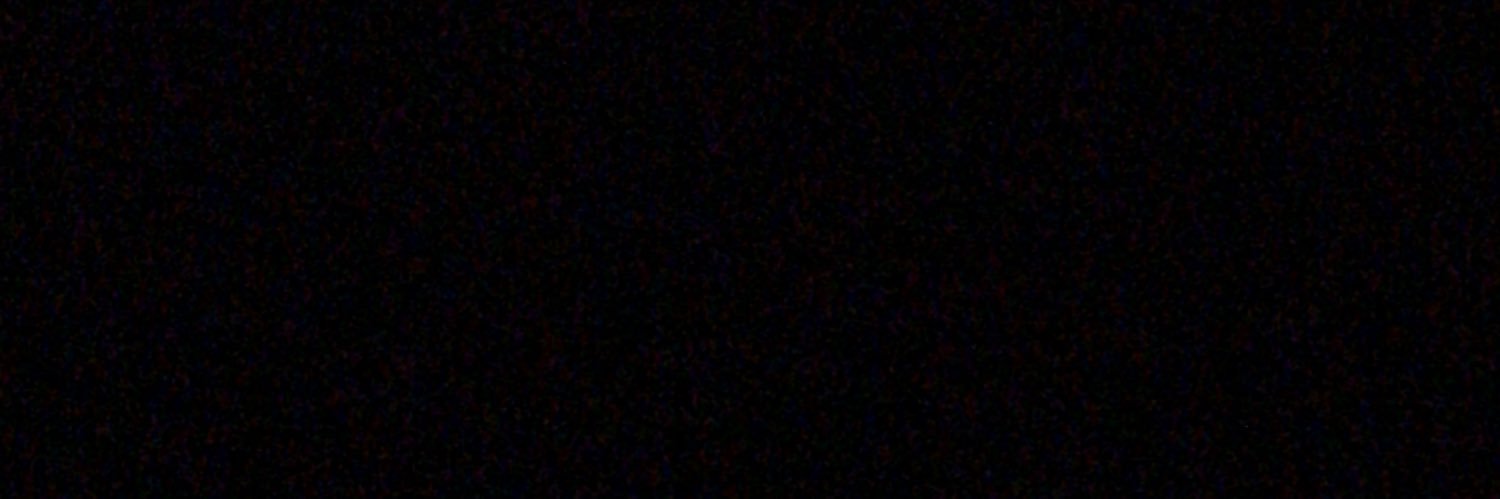 nicholas luisotto banner