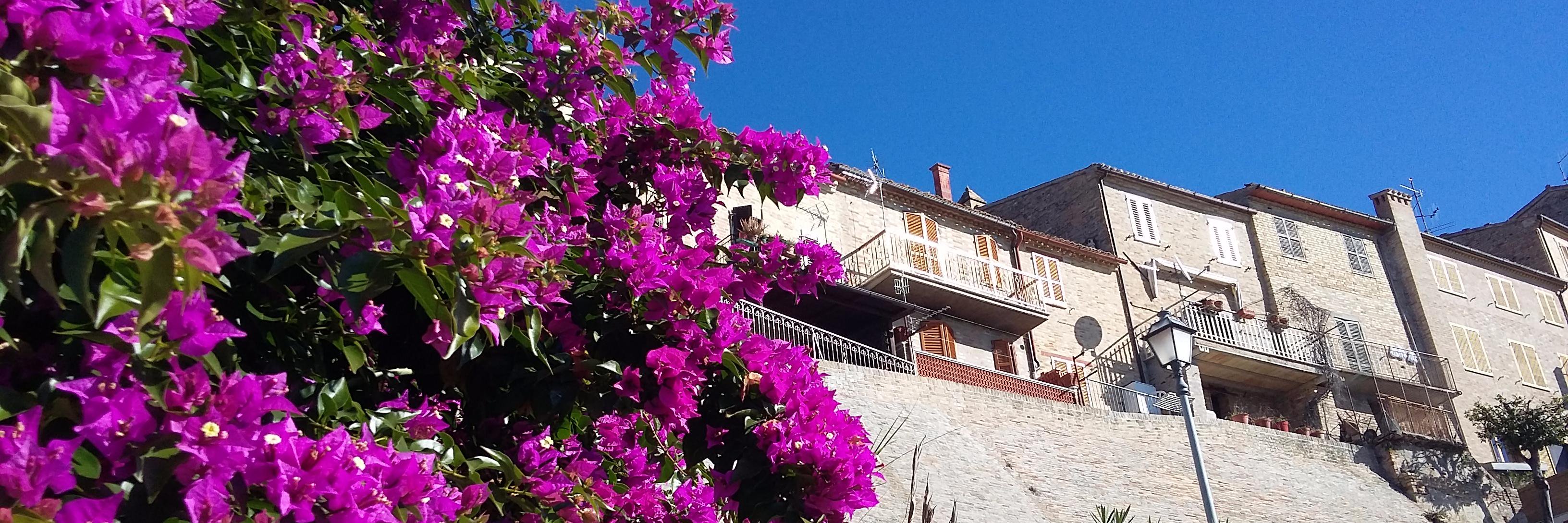Montecorriere's profile banner image