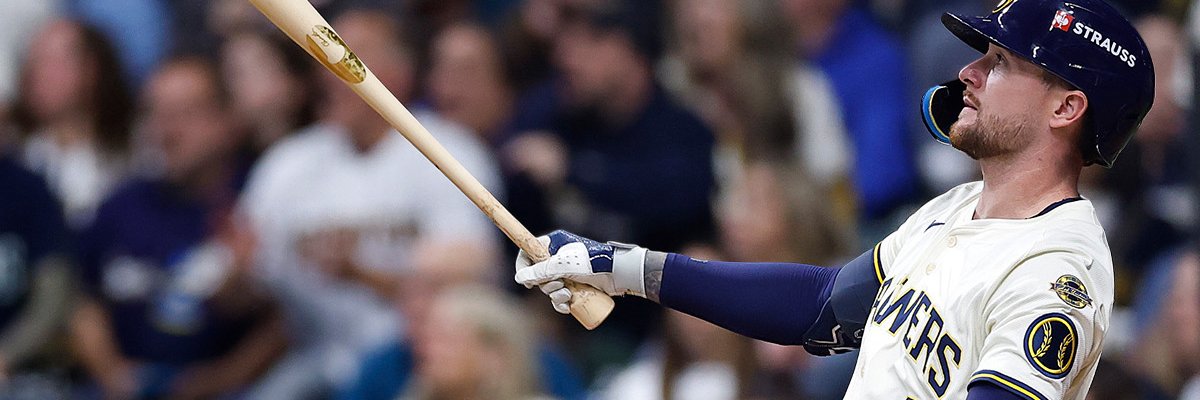 Badger Video🦡 banner