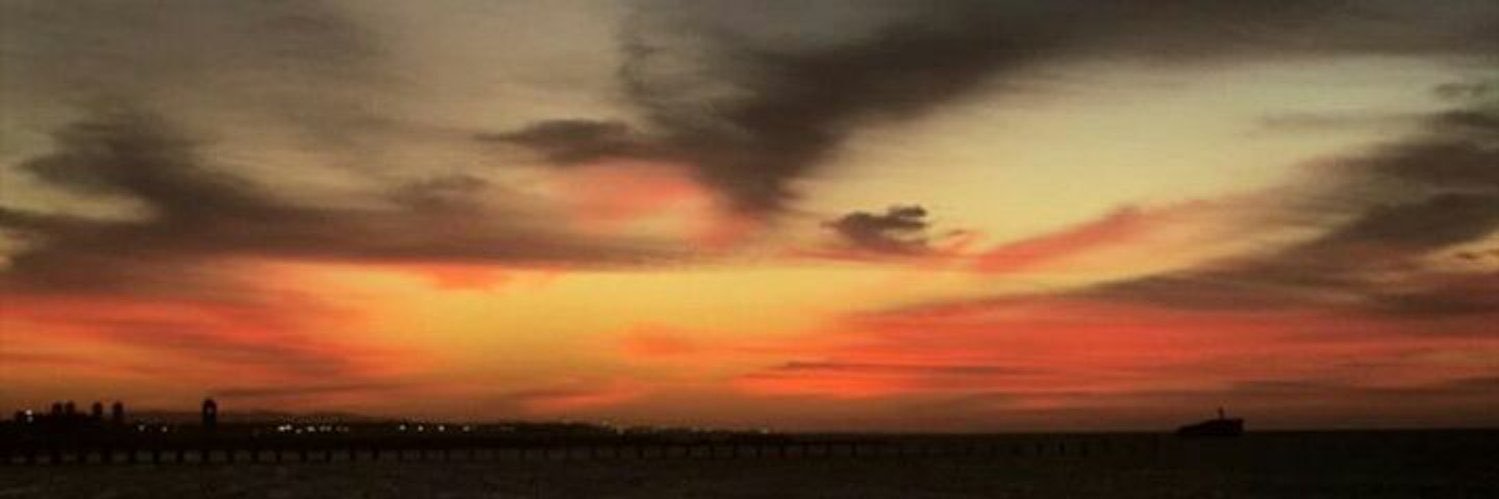 bm_lice's profile banner image