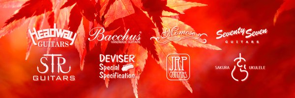DeviserGuitars Profile Banner