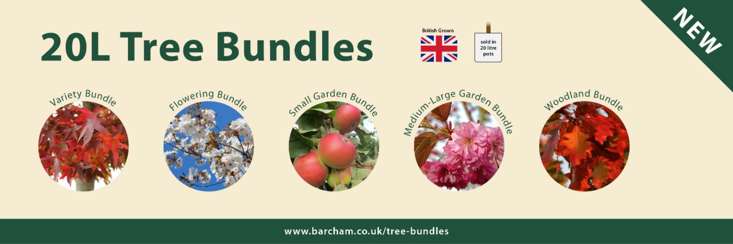 Barcham Trees banner