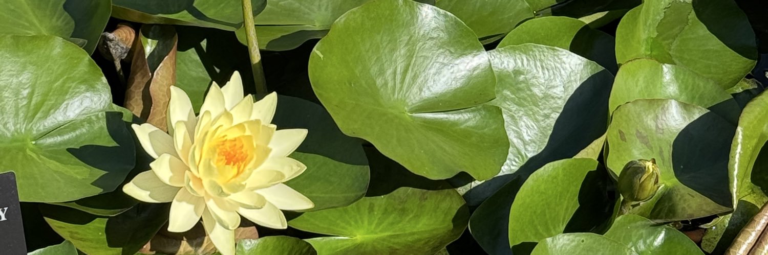 ▫️sterlen silver▫️ banner