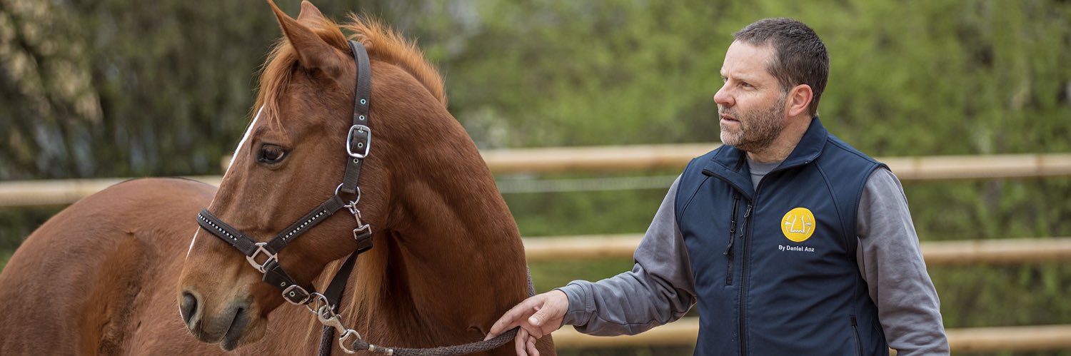 Daniel Anz / F-Balance banner