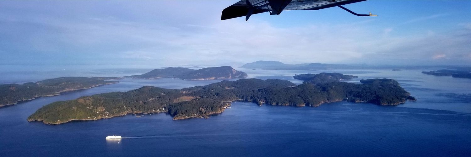 Roger Braunstein banner