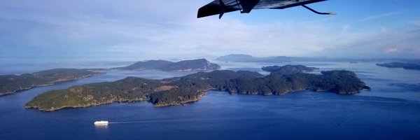 partlyhuman Profile Banner