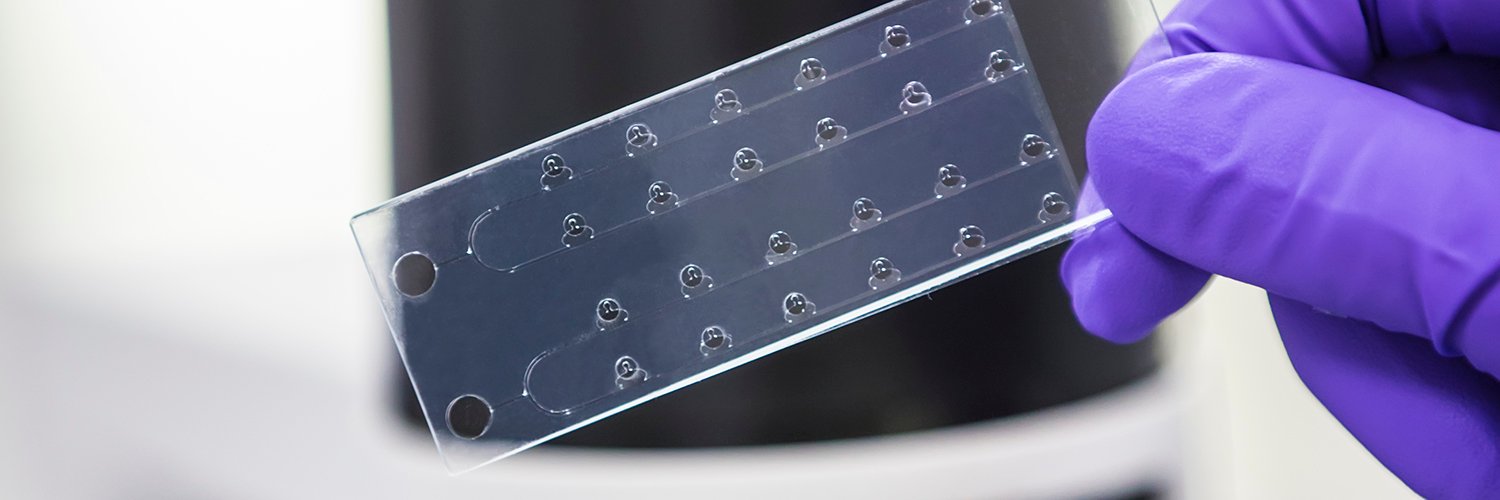 LuxBioHealth's profile banner image