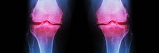 agn_online's profile banner image
