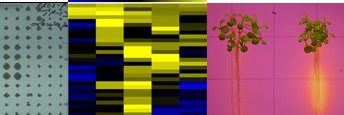 khanmather's profile banner image