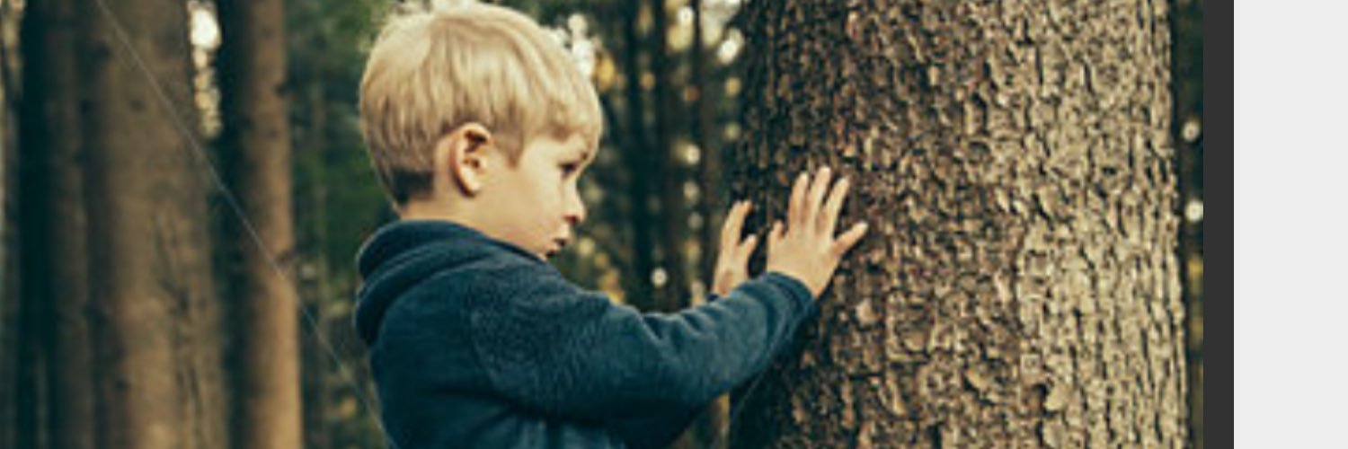 spruce_trees's profile banner image