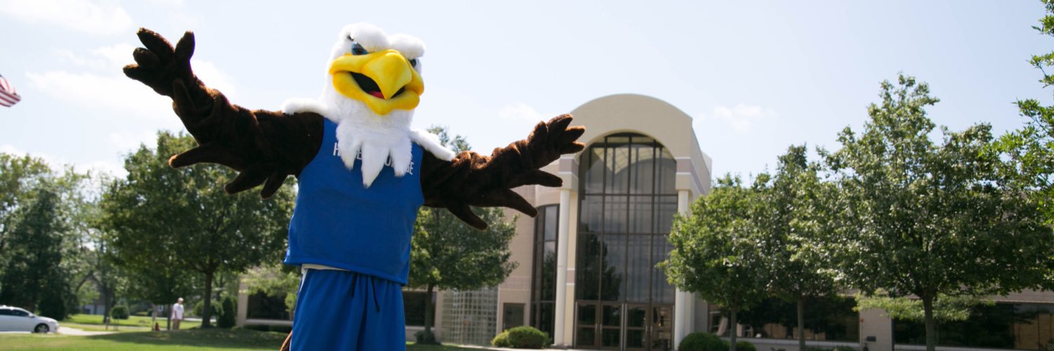 bert_the_hawk's profile banner image
