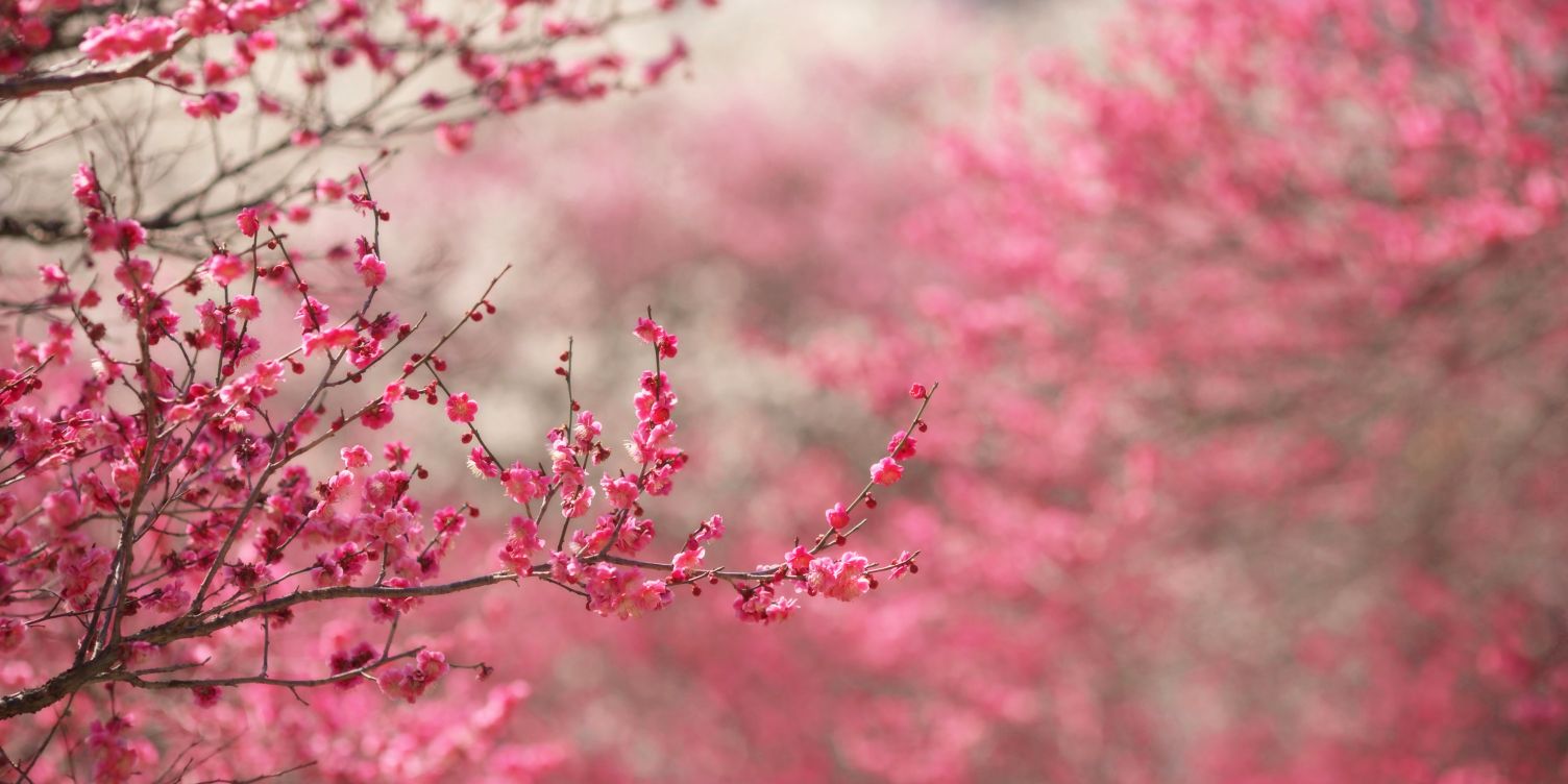 inesssA_'s profile banner image