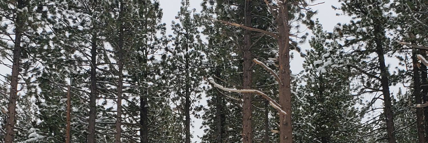 Garrett_Lehrman's profile banner image