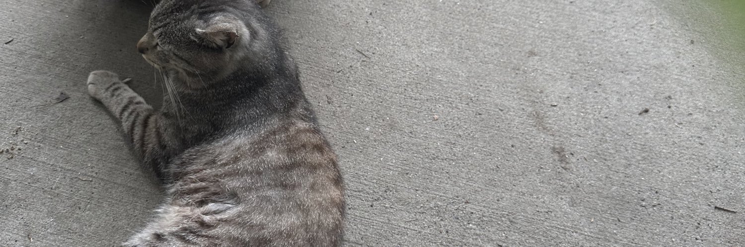 Vickie Richardson banner