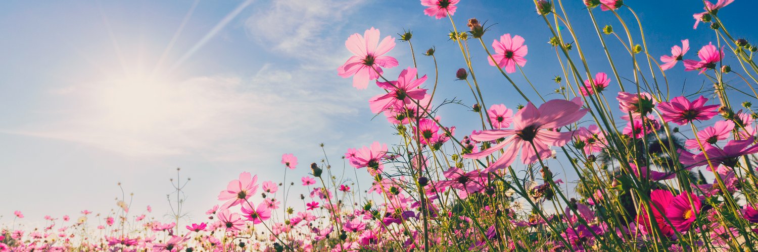InTouch Credit Union banner