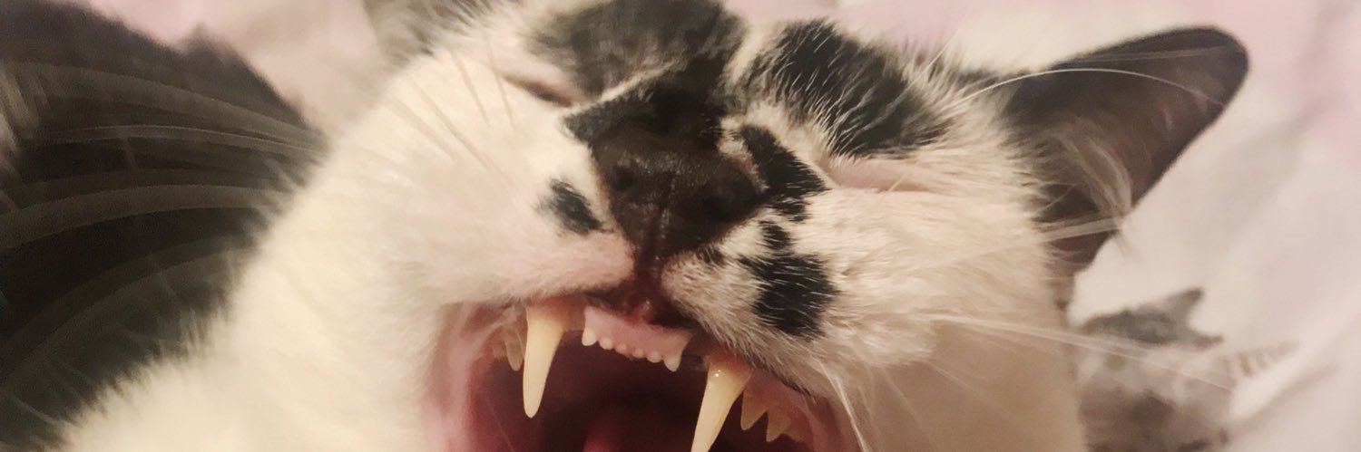 𝑳𝒂𝒖𝒓𝒆𝒏 𝑱𝒂𝒅𝒆 𝑴𝒐𝒓𝒈𝒂𝒏 banner