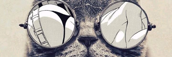 94_soli's profile banner image