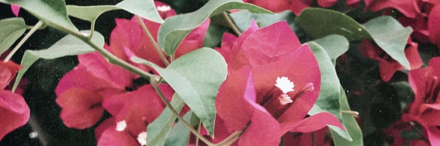 regisidoti's profile banner image