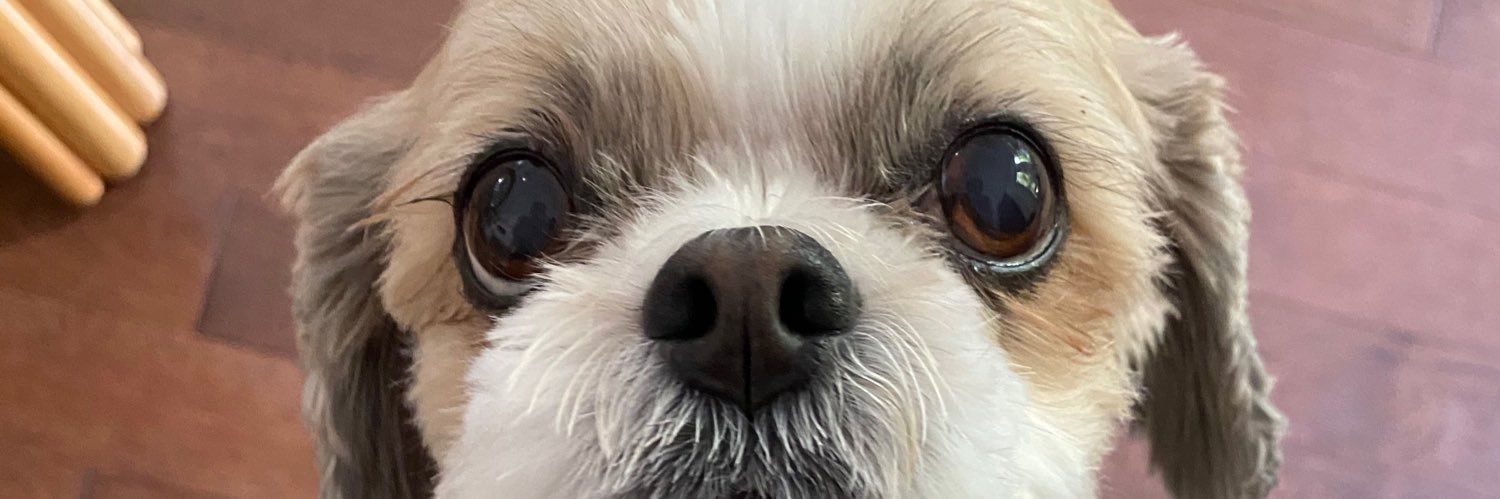 hannahdanz's profile banner image