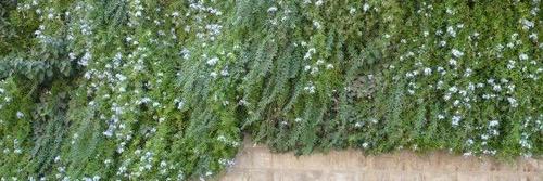 SalmaAlSayed's profile banner image