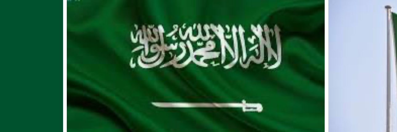 د. وداد بنت سعيد القحطاني banner