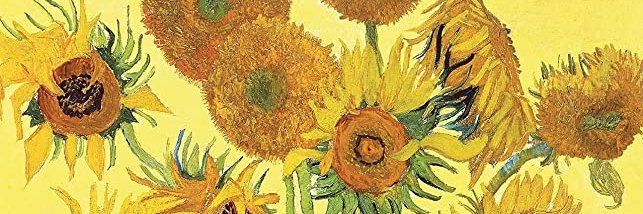 Too_Much_Sense's profile banner image