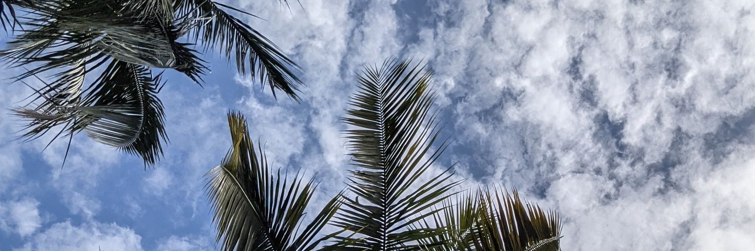 akshaymoree's profile banner image