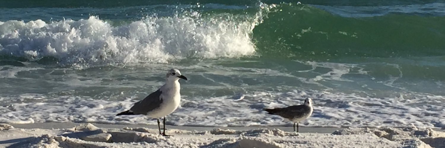 wabashduke's profile banner image