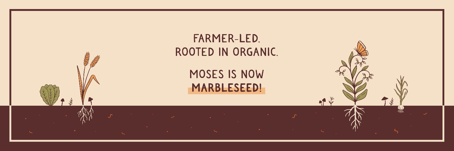 Marbleseed banner