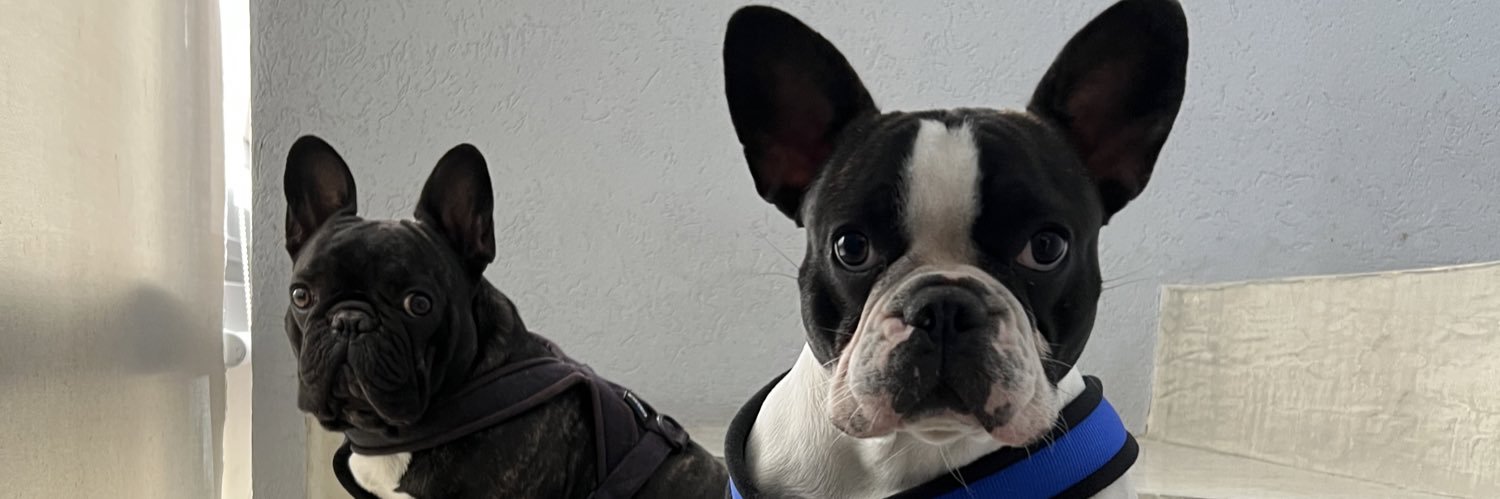 agusfinamoreee's profile banner image