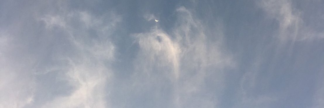 𝘵𝘪𝘮𝘦𝘭𝘪𝘯𝘦 banner