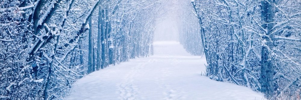 Vlad Makarevich banner