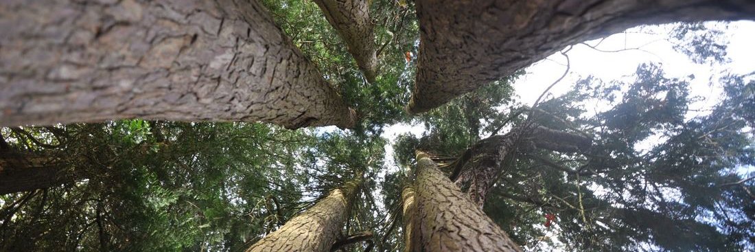 Early Years Outdoors banner