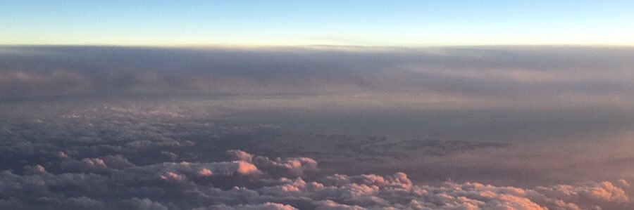 sonlece's profile banner image