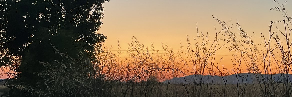 leiremp_'s profile banner image