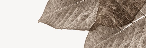 AIroadmap Profile Banner