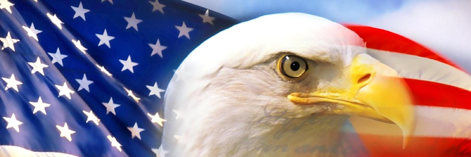 HareTheDog's profile banner image