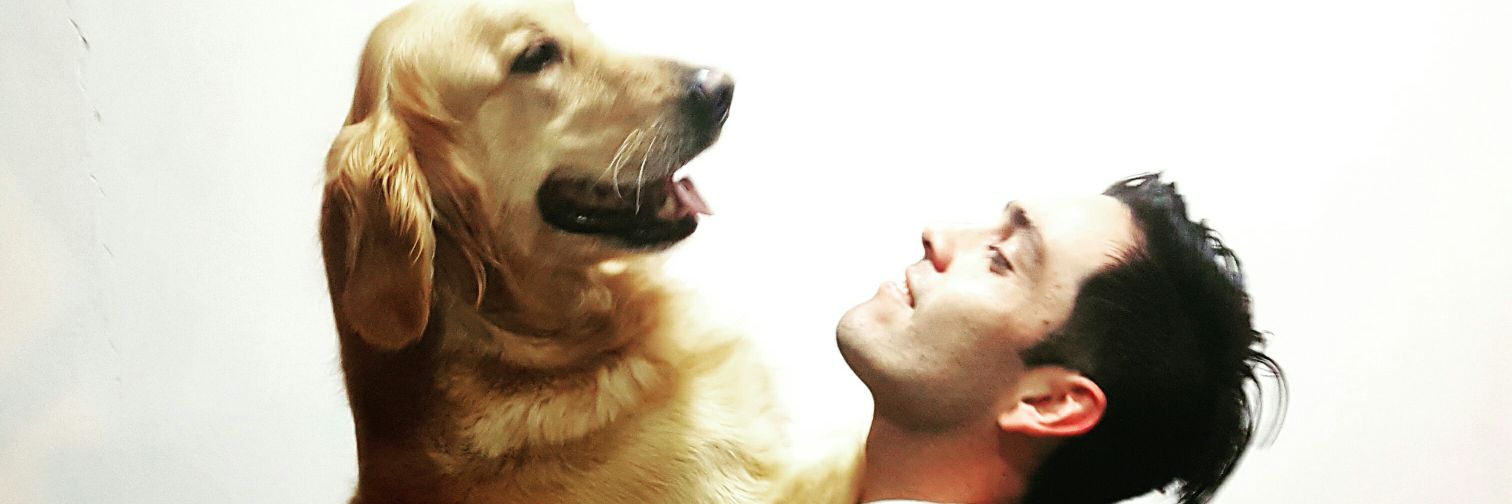 Dribakcc's profile banner image