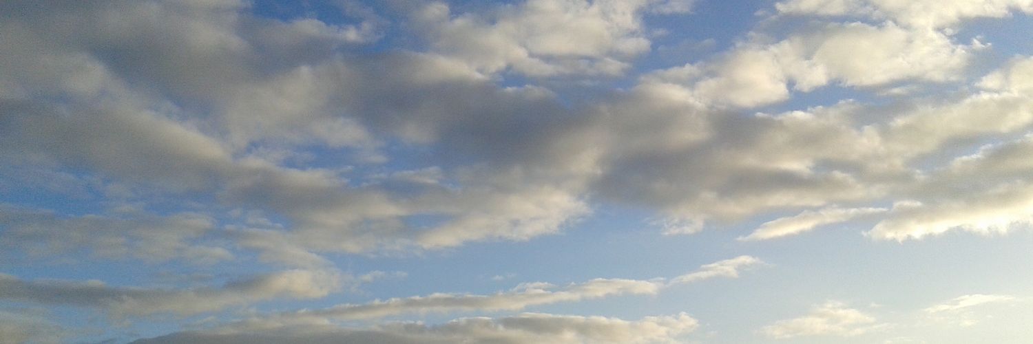 iRLfex's profile banner image