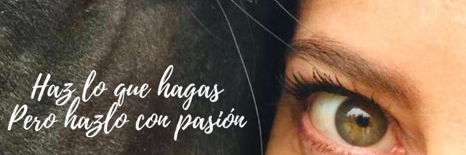 Paulanieva's profile banner image