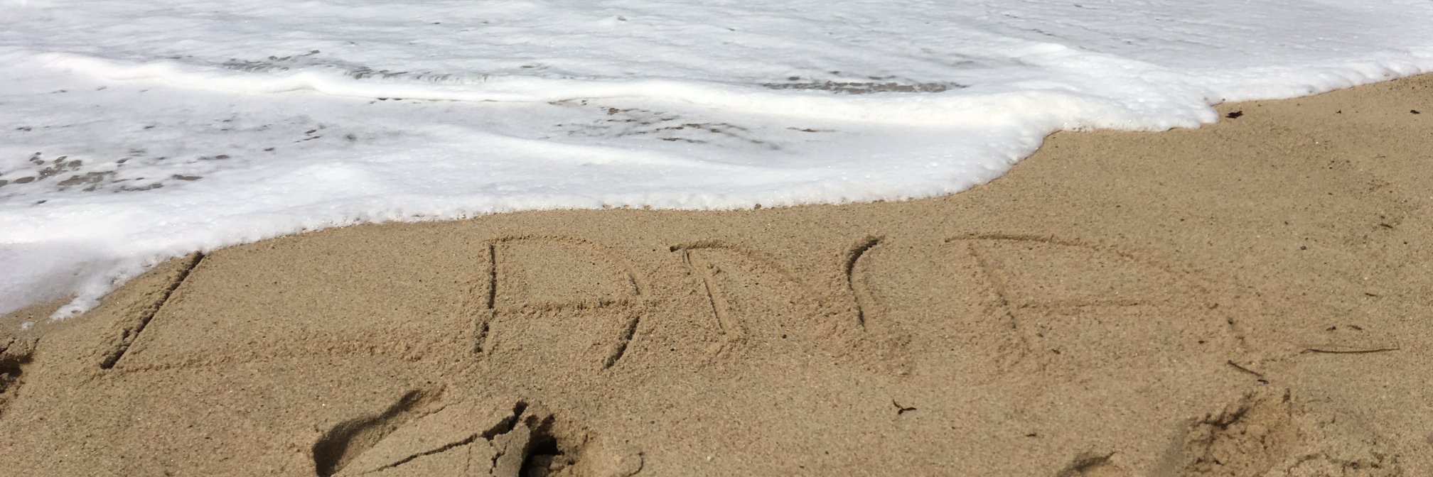 Lana McGee Straub MLS RPL CMM banner