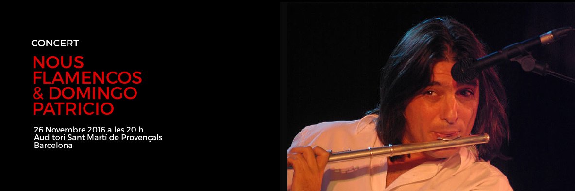 flamenco_cat's profile banner image