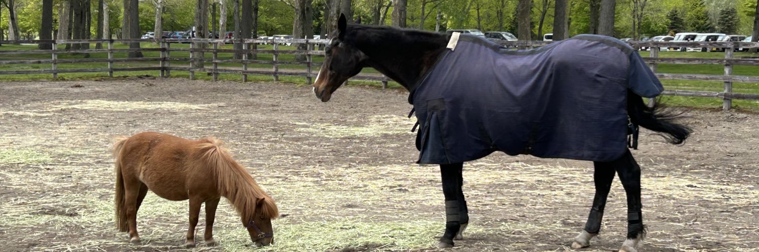 マルタピ@SWクソ解説の中身 banner