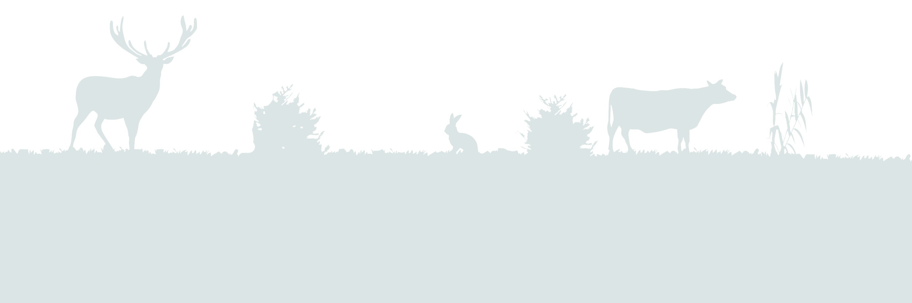 AnimalPolitique banner