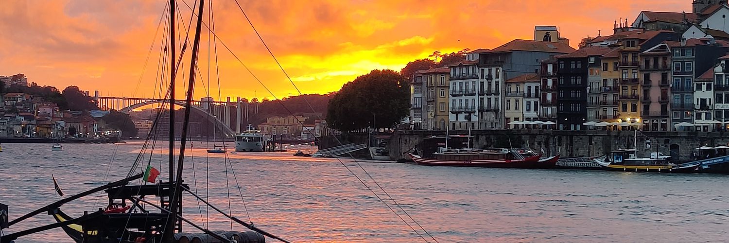 Robin Troutot banner