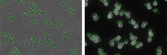 Dan Pollard Lab banner