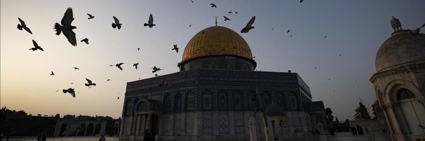 فهـد الأسـيمر banner